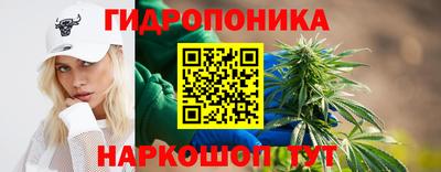 спиды Ливны
