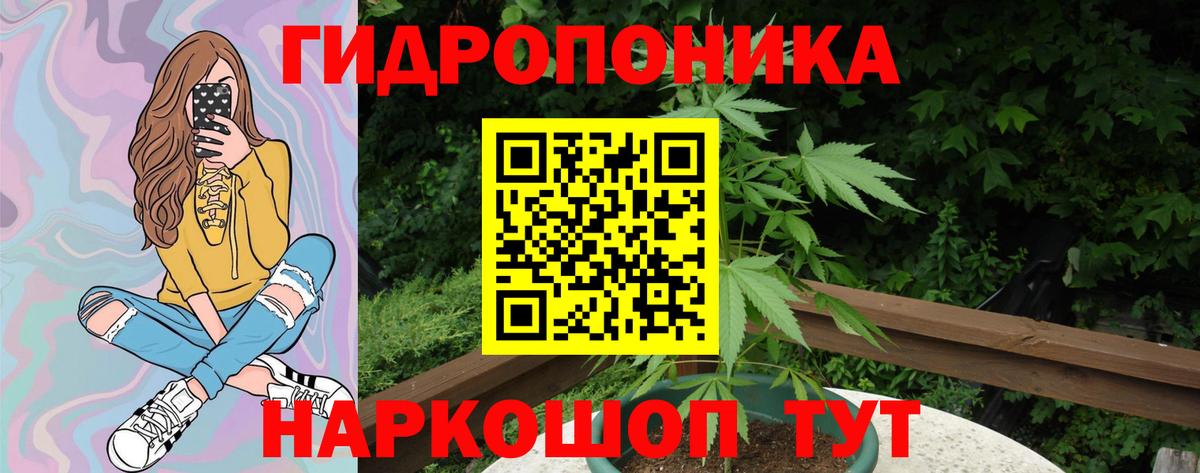 Бошки Шишки план  Бошки Шишки LSD WEED  Гай  Вход с VPN 